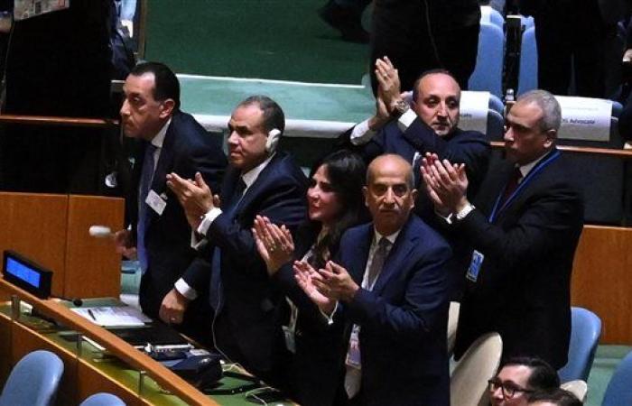 فرحة عارمة للوفد المصري بعد إعلان ماكرون الاعتراف بالدولة الفلسطينية.. صور