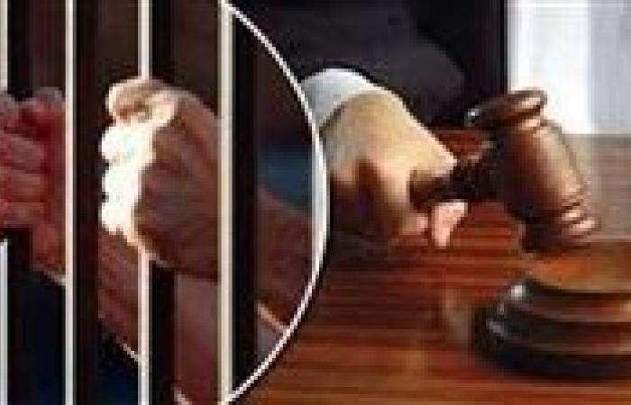 المشدد 7 سنوات لـ 3 متهمين بحيازة سلاح والتعدي علي شخص