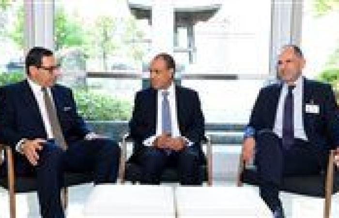 وزير الخارجية يبحث التنسيق والتعاون المشترك مع وزيرى خارجية اليونان وقبرص