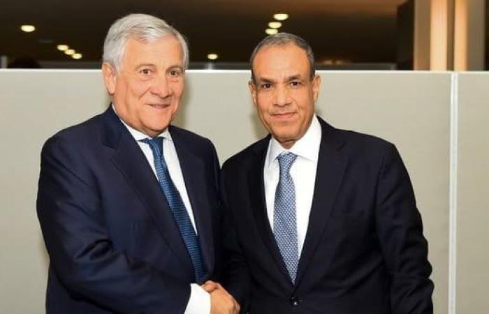 وزير الخارجية يلتقي نظيره الإيطالي على هامش أعمال الجمعية العامة للأمم المتحدة