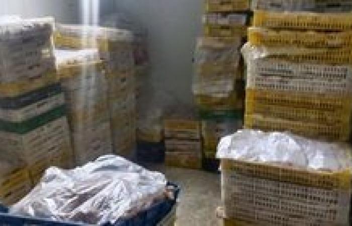 ضبط 2.5 طن لحوم ودواجن غير صالحة للاستهلاك الآدمي بكفر الشيخ