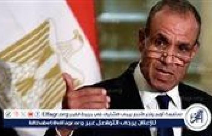 عاجل- وزير الخارجية: رسالة مصر واضحة وهي وقف فوري للحرب في غزة وحل الدولتين السبيل الوحيد للتسوية