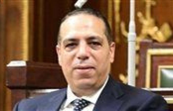 الصافي عبد العال: قرار الرئيس السيسي بإعادة مشروع قانون الإجراءات الجنائية خطوة لترسيخ دولة القانون وضمان عدالة حقيقية للمواطن