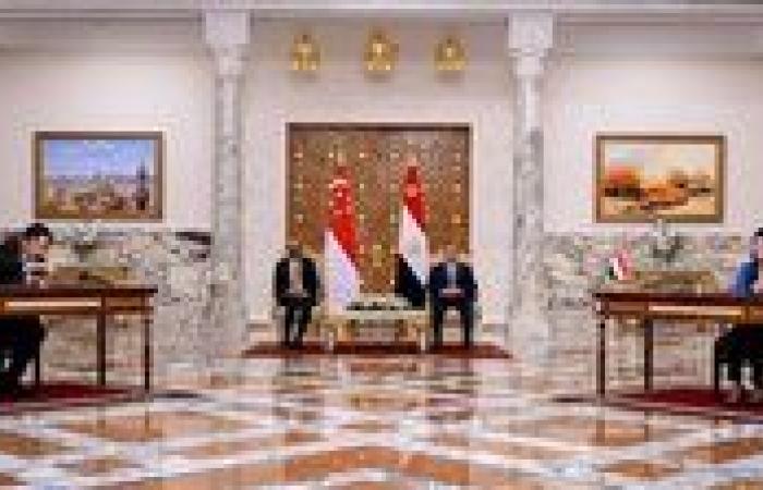 وزيرة التخطيط: مصر حريصة على تقوية العلاقات التجارية والاستثمارية والاقتصادية مع دولة سنغافورة