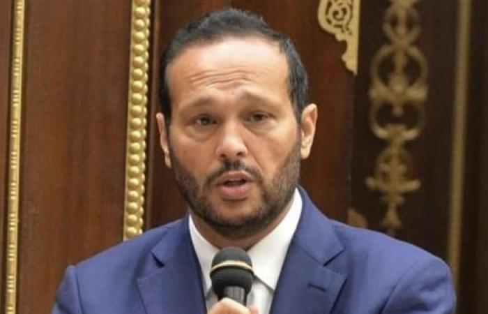 النائب محمد حلاوة: نعمل على دعم الصناعة والصادرات الفترة المقبلة