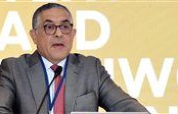 هيئة الإستثمار تدعو الشركات الألمانية لتوطين صناعة ماكينات النسيج في مصر
