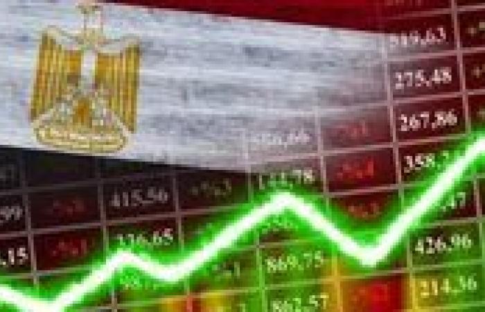 القاهرة للدراسات الاقتصادية: الاستقرار والتسهيلات ركيزتان أساسيتان لجذب المستثمرين