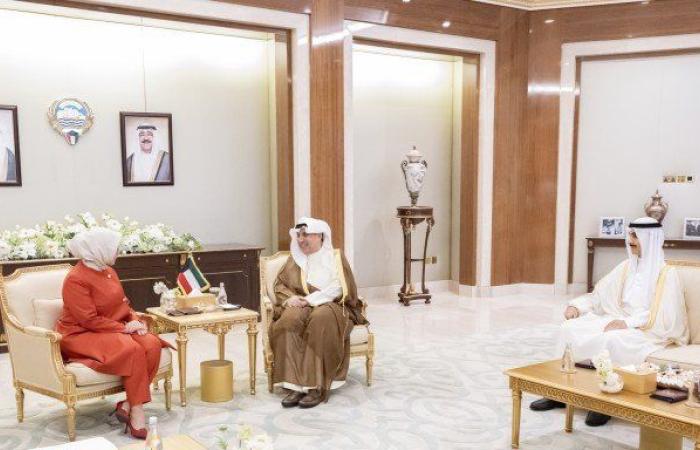 وزير شؤون الديوان الأميري ورئيس ديوان ولي العهد يستقبلان سفراء الأردن وفرنسا وتركيا واليابان