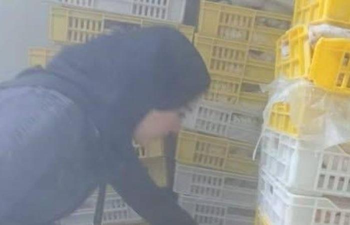 ضبط 2.5 طن لحوم ودواجن غير صالحة للاستهلاك الآدمي بكفرالشيخ