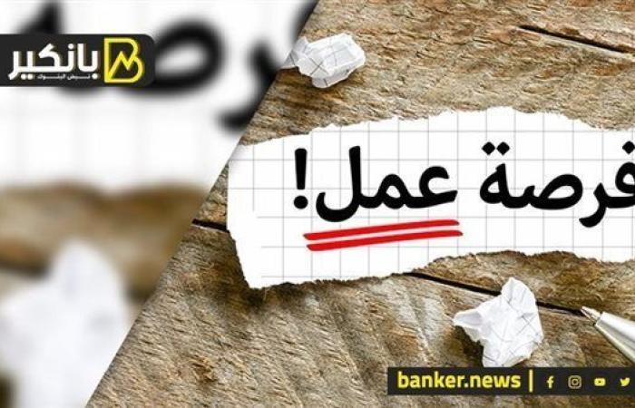 لخريجي الحقوق والاقتصاد وإدارة الأعمال.. وظائف البنك الأهلي المصري 2025