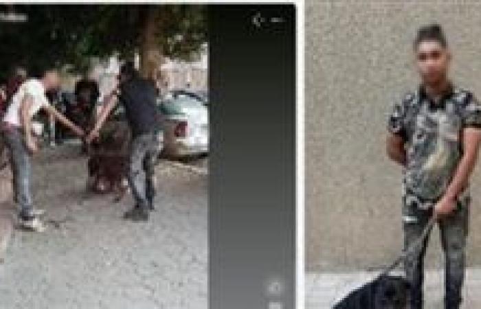 ضبط صاحب فيديو التعدى علي كلب في الجيزة
