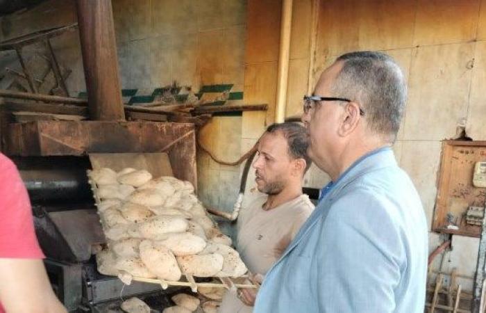 161 مخالفة وضبط 268 بطاقة تموينية مُجمَّعة في حملات مفاجئة على المخابز والأسواق بالدقهلية