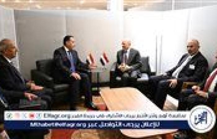 عاجل- رئيس مجلس القيادة الرئاسي اليمني يشيد بالدور التاريخي لمصر في دعم استقرار اليمن