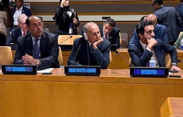 أبو الغيط أمام الأمم المتحدة: لا بديل عن حل الدولتين ورفض قاطع لأي تهجير للفلسطينيين من غزة