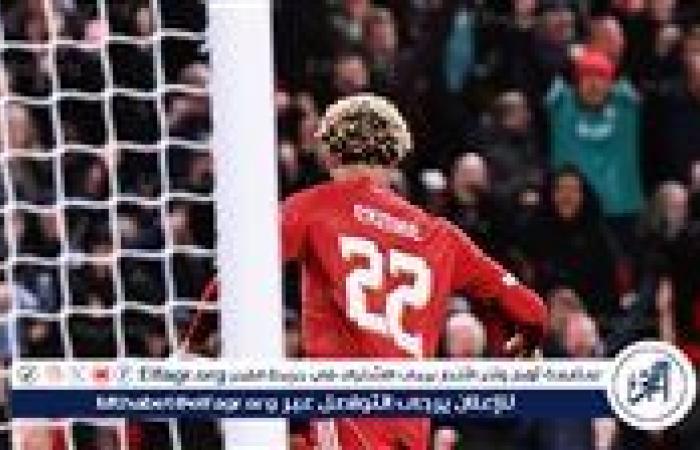 نتيجة وملخص أهداف مباراة ليفربول ضد ساوثهامبتون في كأس الرابطة الإنجليزية
