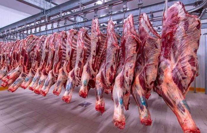 أسعار اللحوم في مصر اليوم الاربعاء