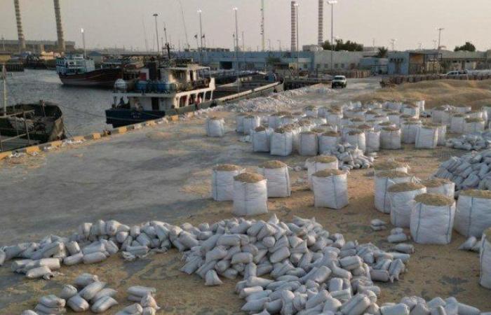 «الجمارك»: إحباط تهريب 10 كيلو شبو داخل أعلاف بميناء الدوحة