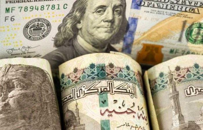 49.7% ارتفاع في تحويلات المصريين العاملين بالخارج خلال الشهور السبعة الأولى من عام 2025