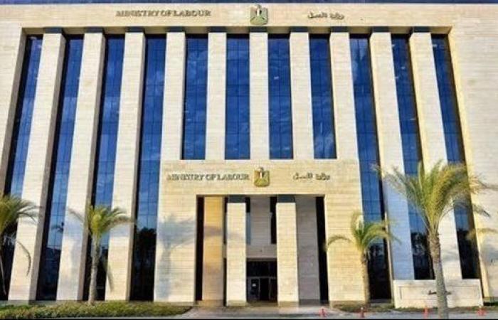 وزارة العمل: 60 فرصة عمل للفتيات بإحدى شركات القطاع الخاص