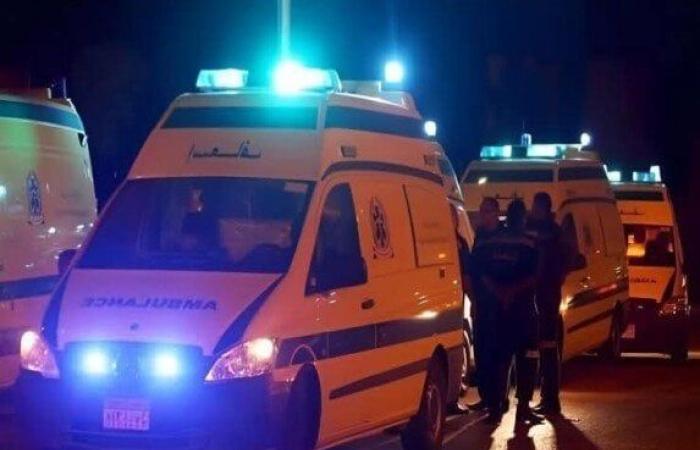 ضمنه في قرض ومادفعش.. شخص ينهي حياة ابن عمه في جنزور بالمنوفية
