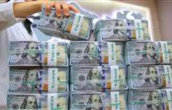 ضبط قضايا إتجار بالنقد الأجنبي بقيمة 6 ملايين جنيه خلال 24 ساعة