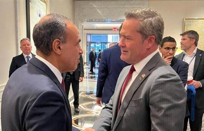 وزير الخارجية والمندوب الدائم الأمريكي بالأمم المتحدة يؤكدان عمق علاقات التعاون بين القاهرة وواشنطن