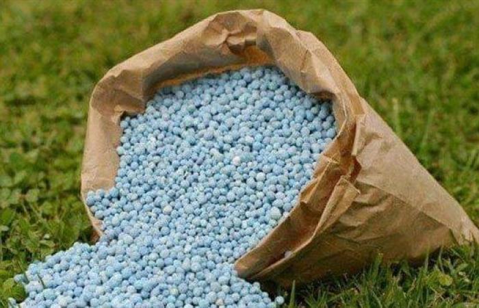 قرار حكومي هام لدعم قطاع الزراعة وزيادة إنتاجية ...