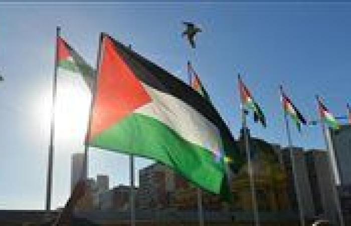 برلماني: الاعتراف الأوروبي بالدولة الفلسطينية خطوة تعزز عزل إسرائيل دوليًا وتحركات مصر صفعة للاحتلال
