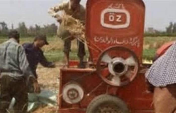 ماكينة «دراس قش الأرز» تحول سيدة إلى أشلاء في الدقهلية