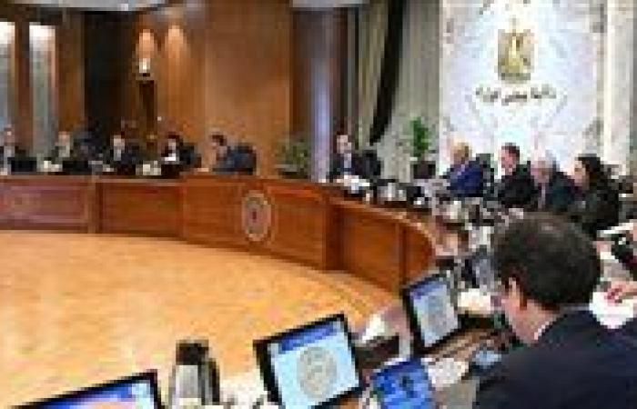 مجلس الوزراء يوافق على إقامة 3 مشروعات للعمل بنظام المناطق الحرة الخاصة