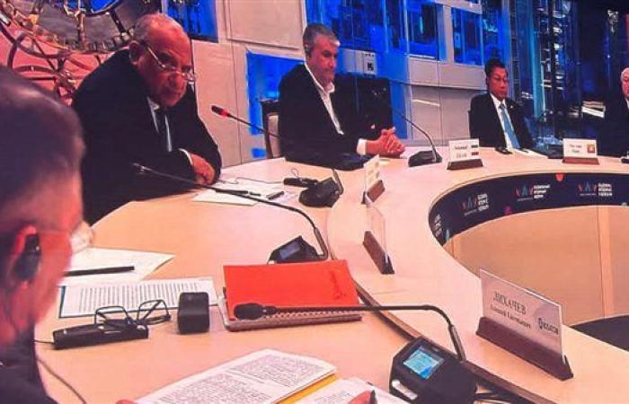 وزير الكهرباء يشارك فى مائدة مستديرة برئاسة الرئيس "بوتين "