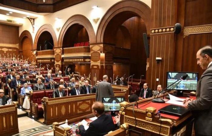 يختارهم الرئيس السيسي.. ما ضوابط تعيين أعضاء مجلس الشيوخ؟