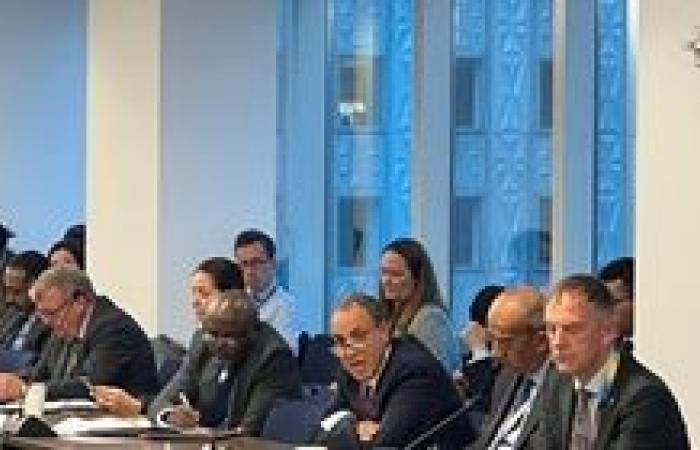 وزير الخارجية يشارك في اجتماع وزاري حول السودان