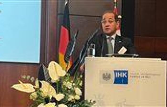 وزير المالية: جذب 9.8 مليار دولار استثمارات أجنبية مباشرة خلال 9 أشهر