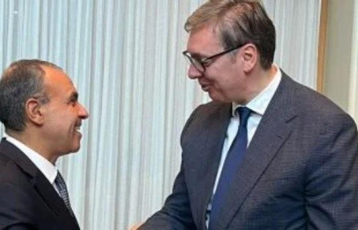 وزير الخارجية يلتقى رئيس صربيا على هامش الجمعية العامة للأمم المتحدة
