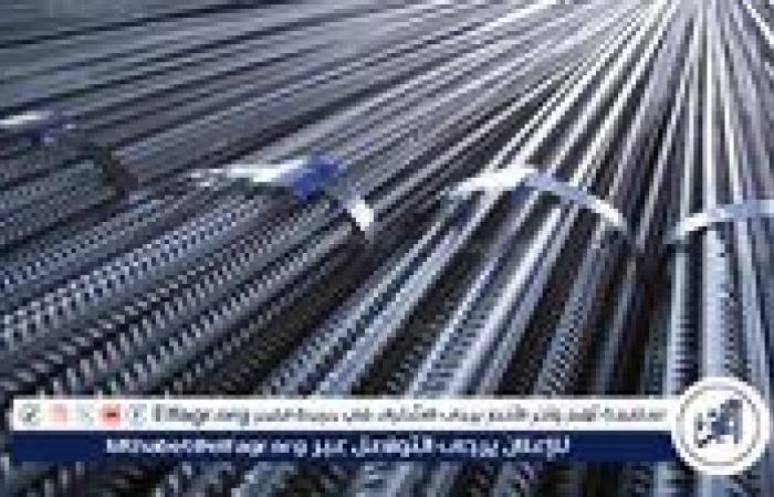 الجيوشي للصلب: توقيت فرض رسوم الحماية على واردات خام البيلت يهدد المصانع والمستهلك