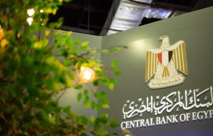 مساهمات البنك المركزي في رؤؤس أموال مؤسسات ...