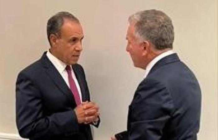 وزير الخارجية يلتقي المبعوث الأمريكي الخاص للشرق الأوسط