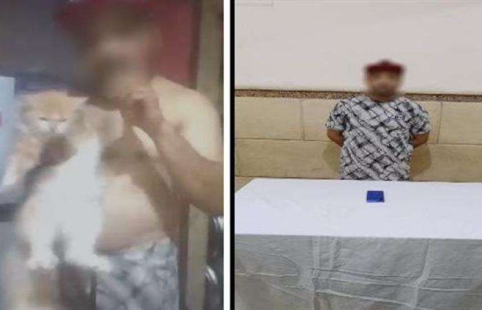 عن طريق تعذيب الحيوانات.. الداخلية تضبط شخص ادعى علاجه لمرض السكري