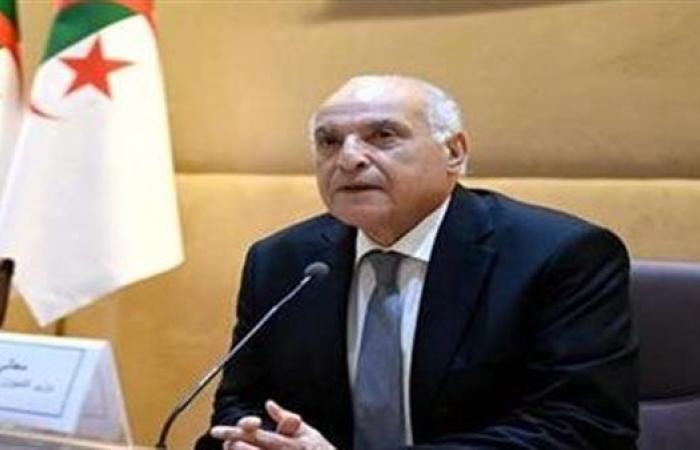 وزير الخارجية الجزائري: الأوضاع الإقليمية تتطلب تعاونا وثيقا بين مجلس الأمن والجامعة العربية