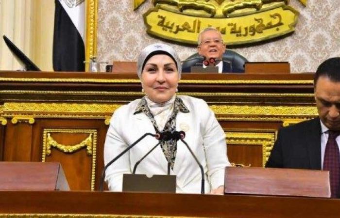 النائبة هالة أبو السعد: إنقاذ المصانع المتعثرة يتطلب تمويلاً مرنًا وحوافز لدعم المنتج المصري