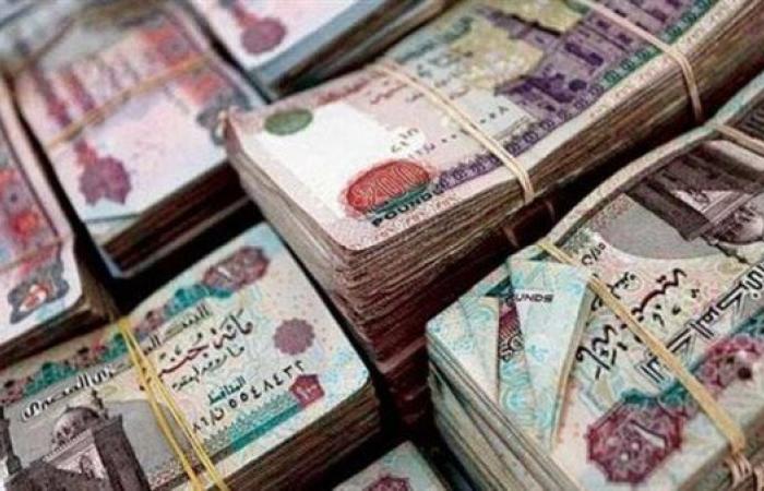 موعد صرف معاشات شهر أكتوبر 2025.. التأمينات تقدم طرق للقبض