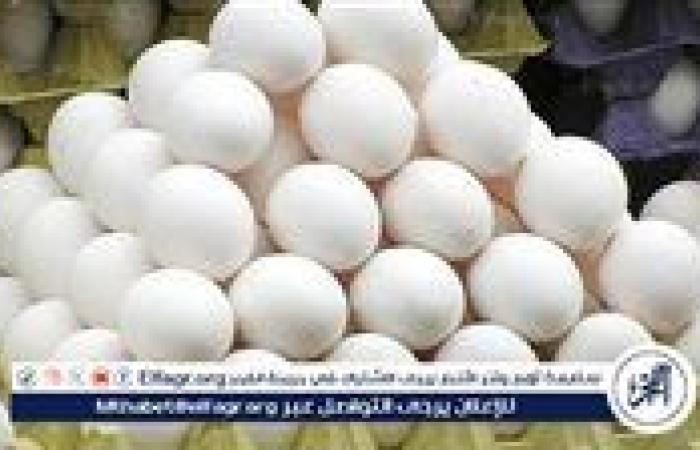 سعر كرتونة البيض للمستهلك اليوم الجمعة 26-9-2025