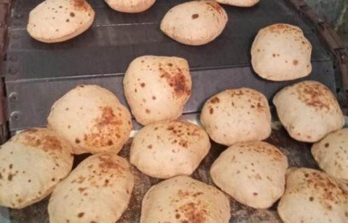 محافظ المنوفية: ضبط 34 طن زيت وأرز مجهول المصدر