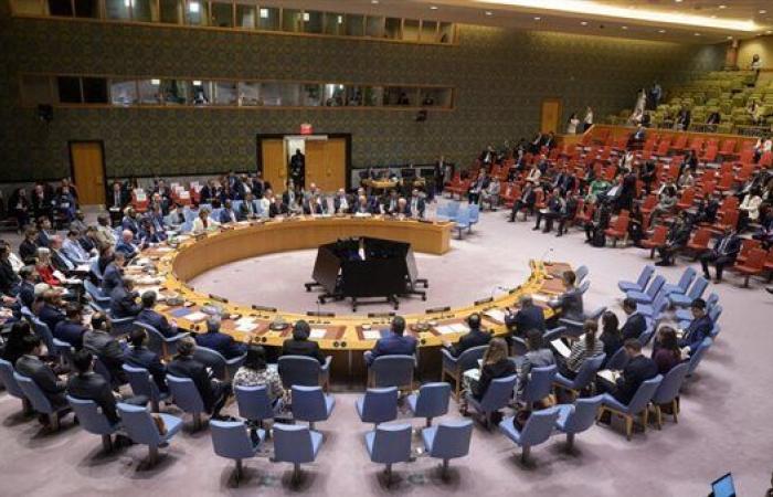 ممثل فرنسا بمجلس الأمن: طهران ترفض حدود التخصيب وتخالف معاهدة عدم الانتشار