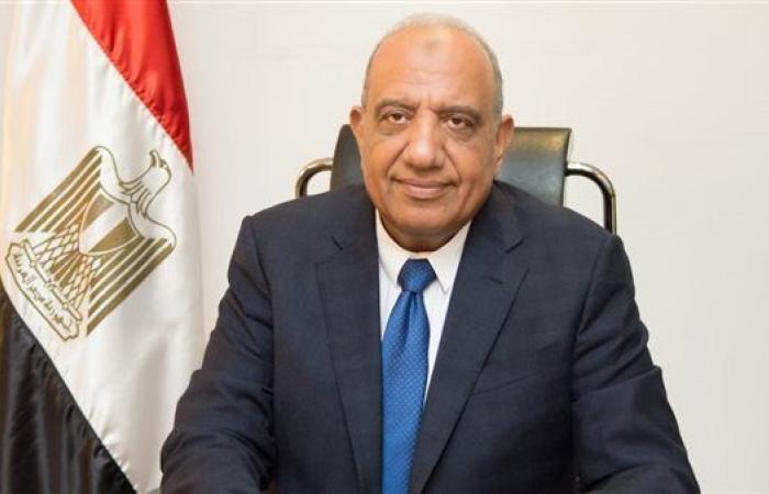 مصر تسلم رئاسة منظمة اتحاد مرافق الكهرباء الأفريقية الأربعاء المقبل