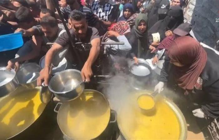 نائب بالبرلمان الإيطالي: ربط الاعتراف بفلسطين بنزع سلاح حماس مستحيل