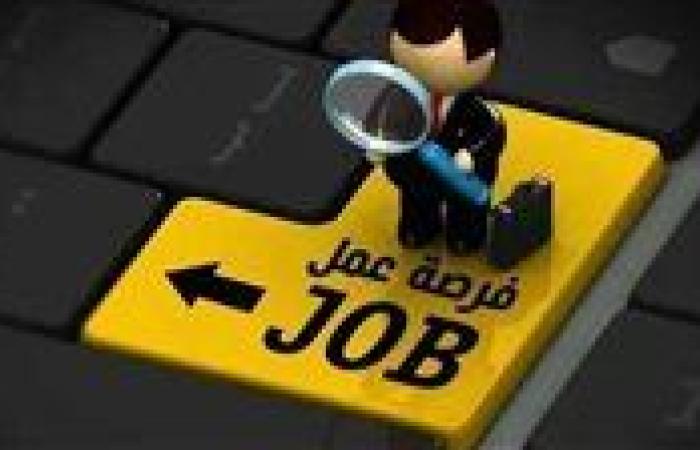 سجل قبل انتهاء الفرصة.. رابط تقديم وظائف مصر للطيران 2025