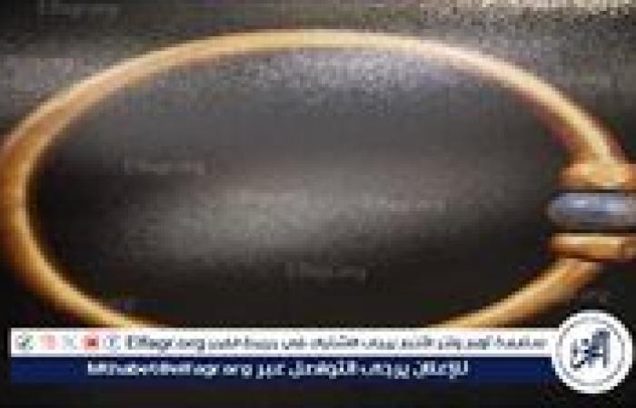 سرقة إسورة ذهبية من المتحف المصري تهز السوشيال ميديا..