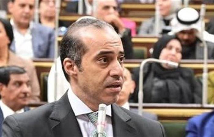 وزير الشؤون النيابية: مجلس النواب غير ملزم بالانتهاء من الإجراءات الجنائية في وقت معين